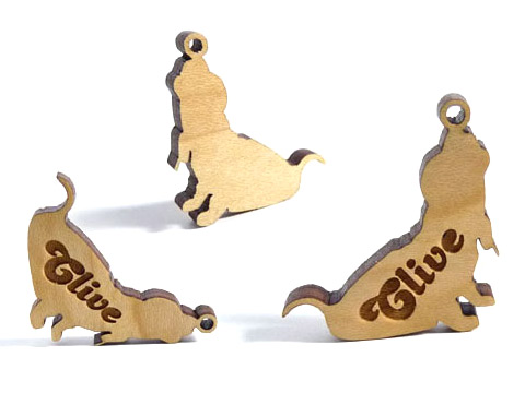 personalised pet tags engraved with your pets name